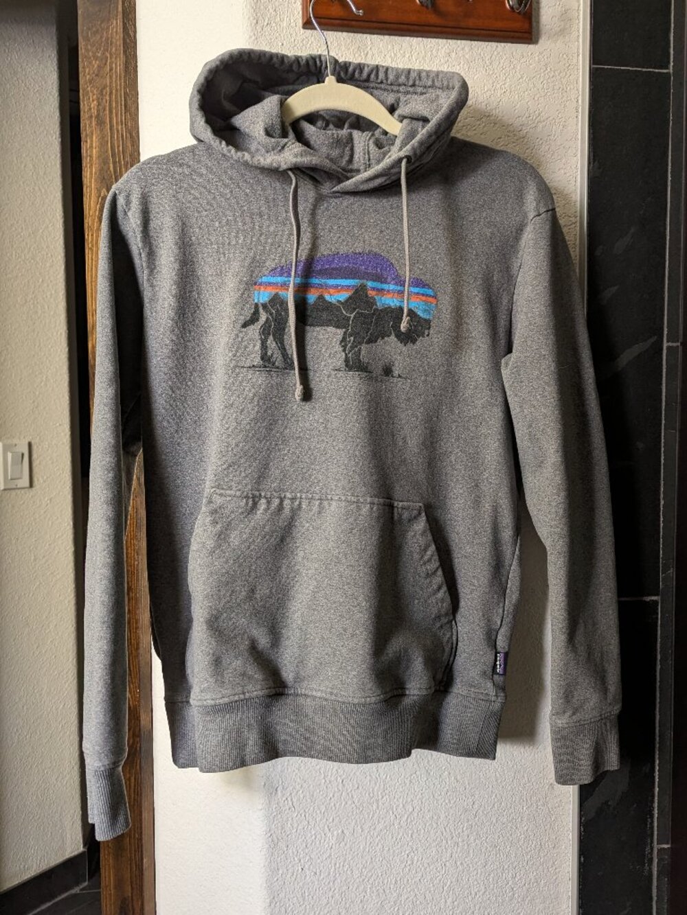 Men's Small Grey Patagonia Bison Hoodie Pullover